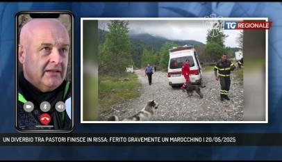 NVEGE9PEjvo