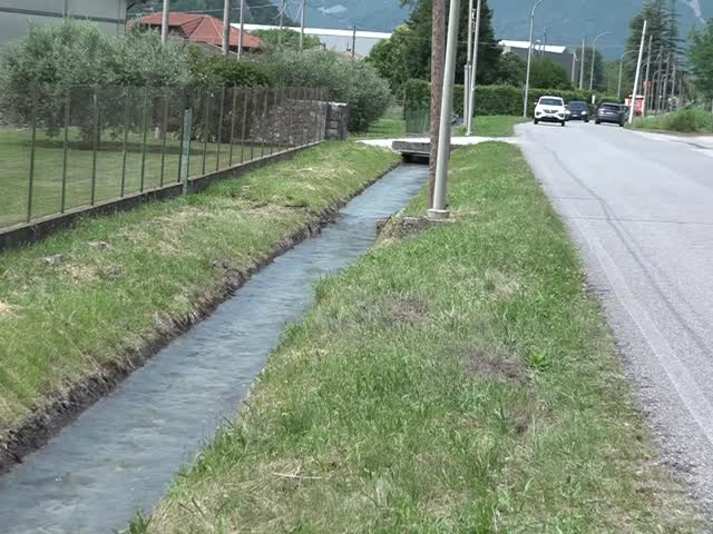 WIDMxwXjKYo