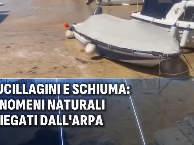Xf_-KVJtYRA