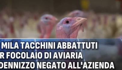 2s1OuzHjwYw