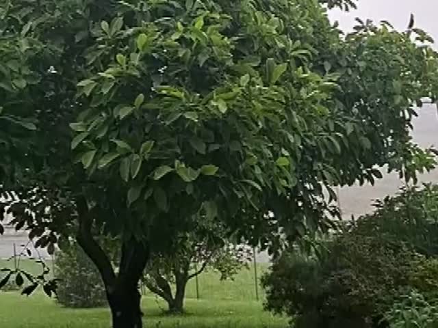 64fNI4yedAA