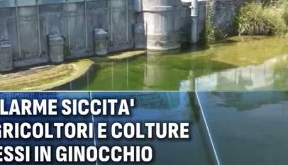 axCPIsLo6To