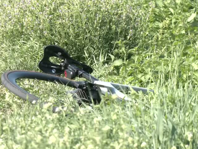 pBBF_9ZI5lE