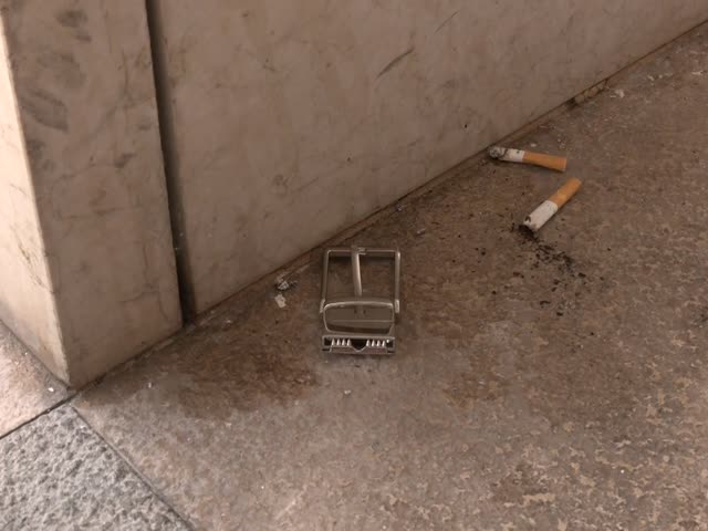 UuFqvKW3CCQ