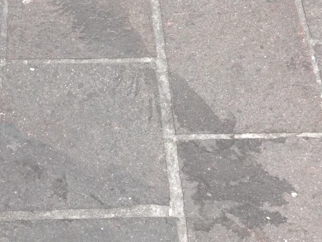 pUJqCBKvUDQ